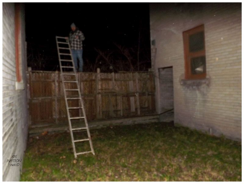 courtyard ladder fence