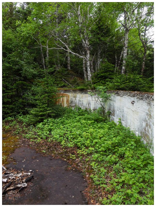 I still moved inland to a slightly more secluded site.