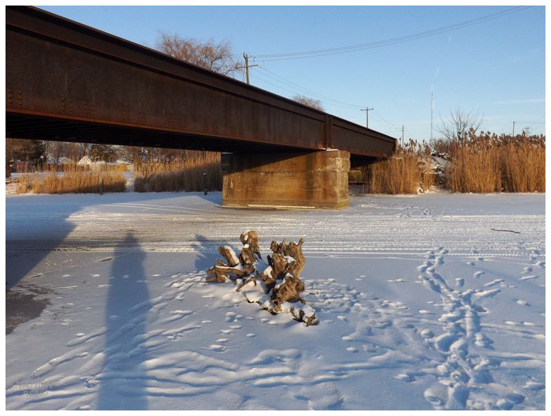 bridge; the rush
